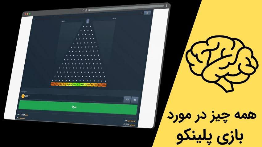 همه چیز در مورد بازی پلینکو